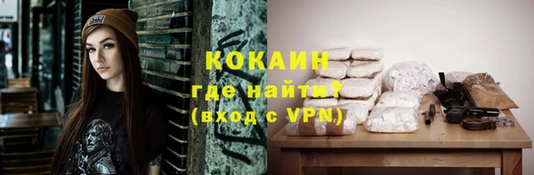 прущие грибы Горнозаводск