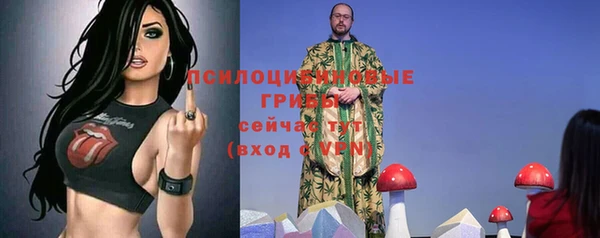 прущие грибы Горнозаводск