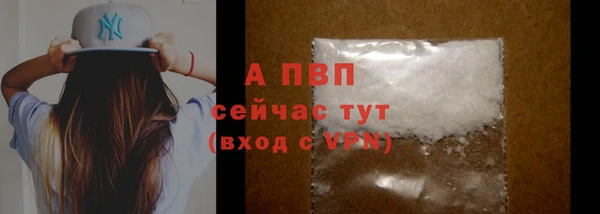 прущие грибы Горнозаводск