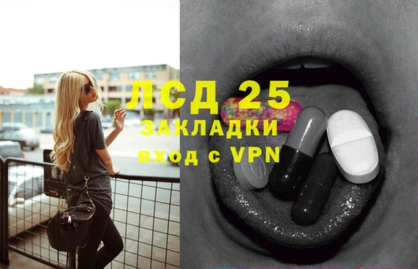 прущие грибы Горнозаводск
