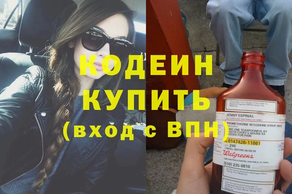 прущие грибы Горнозаводск