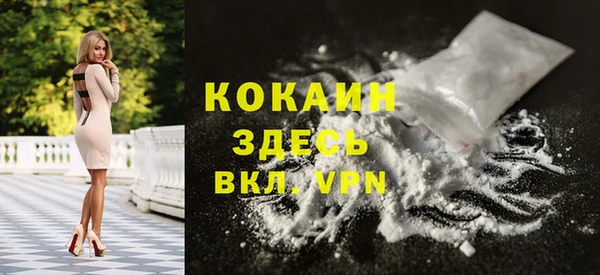винт Горняк
