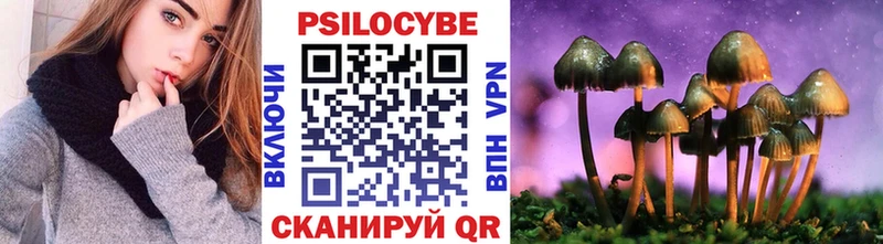 Псилоцибиновые грибы Psilocybe  Северск 